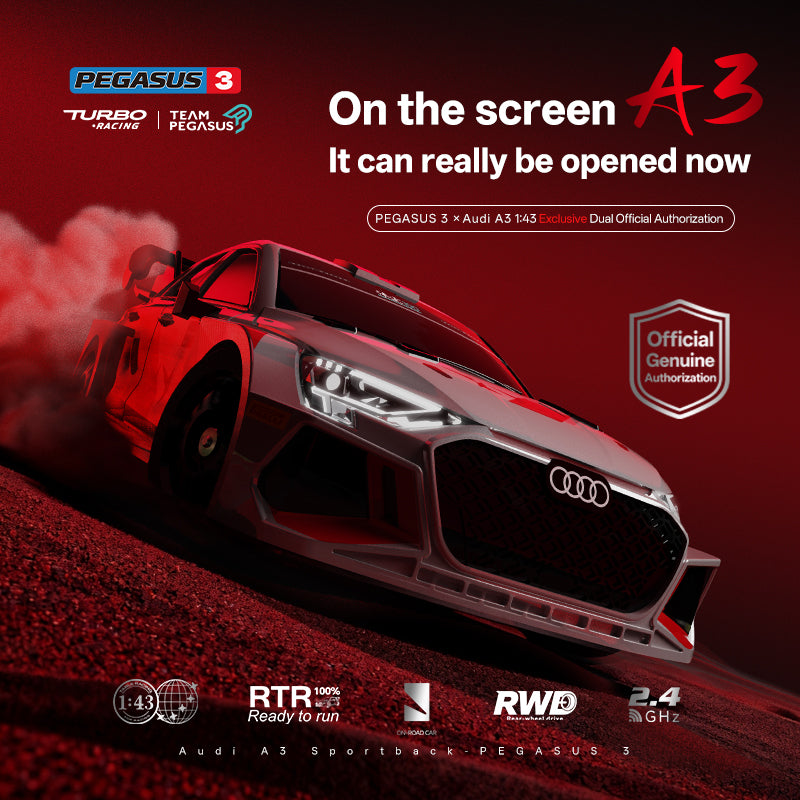 Turbo Racing C90 1:43 Scale Pegasus 3× Audi A3 Dual-IP Collaboration  RC Rally Car RTR