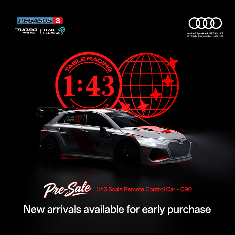 Turbo Racing C90 1:43 Scale Pegasus 3× Audi A3 Dual-IP Collaboration  RC Rally Car RTR