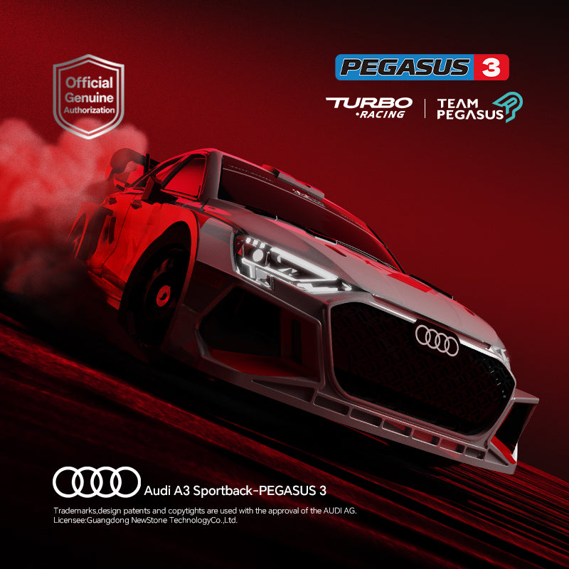 Turbo Racing C90 1:43 Scale Pegasus 3× Audi A3 Dual-IP Collaboration  RC Rally Car RTR